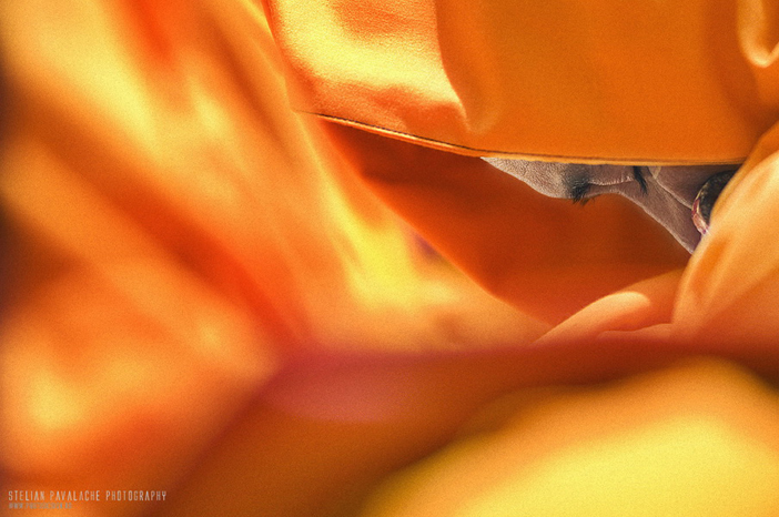 Stelian Pavalache - Tibet Ladakhi People - fotografiromani.ro